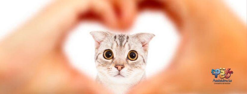 Uma mensagem Pet Assistência para você que tem um amor incondicional pelo seu pet